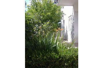 Muntenegru Privát Herceg Novi, Exteriorul